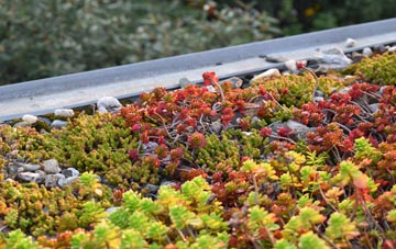 the cost of Llaingoch green roof installation