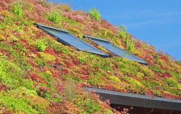 Llaingoch living roof systems