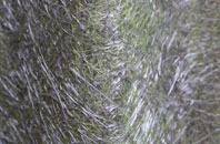 Llaingoch fibreglass roof work